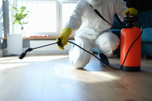 Best Local Pest Control Services  in Hudson Lake, IN