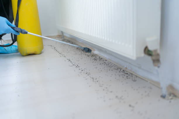 Pest Prevention Services in Hudson Lake, IN