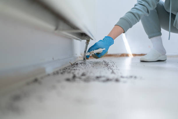Professional Pest Control in Hudson Lake, IN